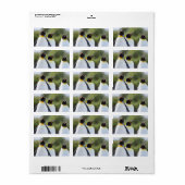 King pinguins etiket (Full Sheet)