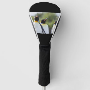 King pinguins golfheadcover