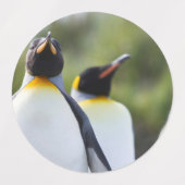 King pinguins labels (Design 2)