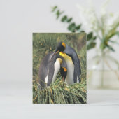 King pinguins Lovers Briefkaart (Staand voorkant)