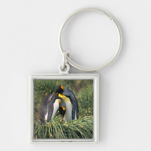 King pinguins nuzzling sleutelhanger (Voorkant)