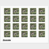 King pinguins nuzzling vierkante sticker (Vel)