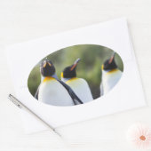 King pinguins ovale sticker (Envelop)