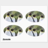 King pinguins ovale sticker (Vel)