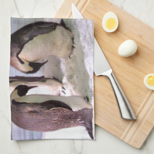 King pinguins theedoek (Quarter Fold)