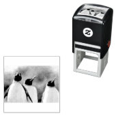 King pinguins  zelfinktende stempel (In situ)