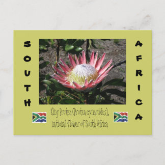 King Protea Briefkaart