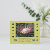 King Protea Briefkaart (Staand voorkant)