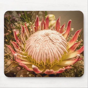 King Protea mousepad Muismat