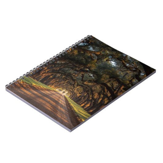 King Ranch Leather Journal - Western Writing  (Côté gauche)