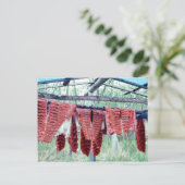 King Salmon die op Racks droogt Briefkaart (Staand voorkant)