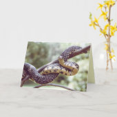 King Snake Card Kaart (Gele Bloem)