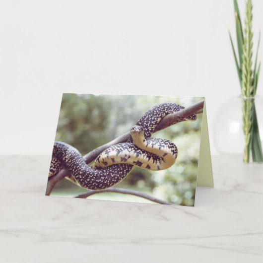 King Snake Card Kaart (Voorkant)