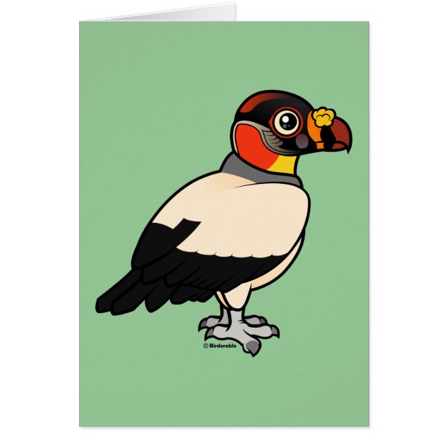 King Vulture (Voorkant)