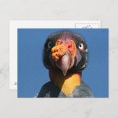 King Vulture Ugly Bird Briefkaart (Voorkant / Achterkant)