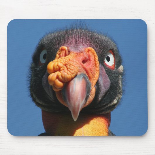 King Vulture Ugly Bird Mousepad Muismat (Voorkant)