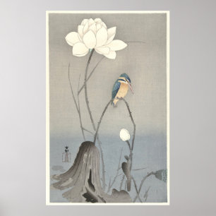 Kingfisher avec Fleur Lotus - Impression d'archive
