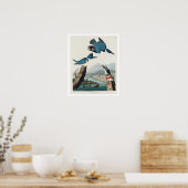 Kingfisher Beled par Audubon Poster (Cuisine)