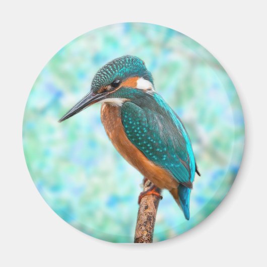 Kingfisher Bird Blue Abstract Magneet (Voorkant)