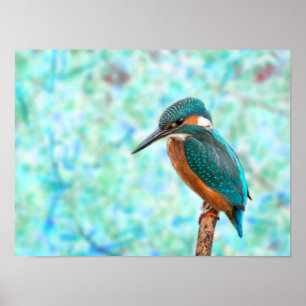 Kingfisher Bird Blue Abstract Poster