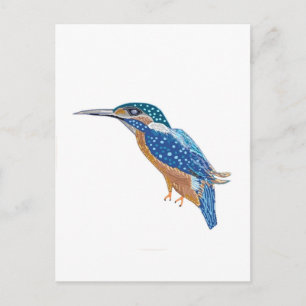 KingFisher Bird Briefkaart