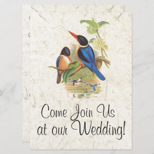 Kingfisher Bird Faune Faire-part de mariage animal