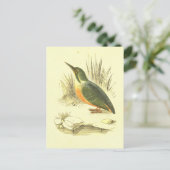 Kingfisher Bird Lithograaf Briefkaart (Staand voorkant)