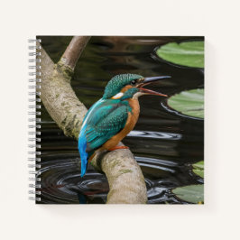 Kingfisher Bird Notitieboek