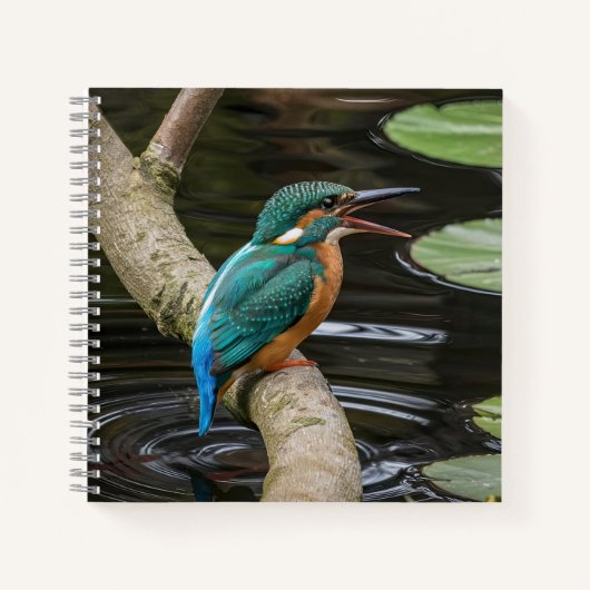 Kingfisher Bird Notitieboek (Voorkant)