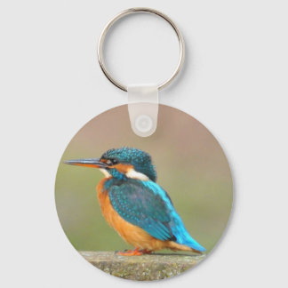 Kingfisher Bird Sleutelhanger