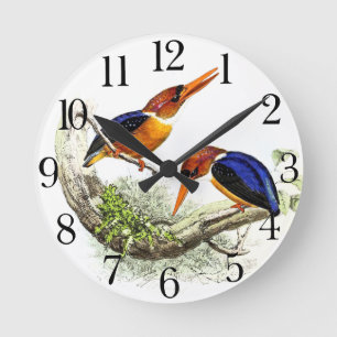Kingfisher Bird Wildlife Animal Wall klok
