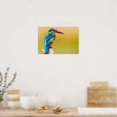Kingfisher Bird Wildlife Closeup Foto Poster (Keuken)