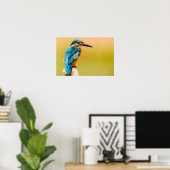 Kingfisher Bird Wildlife Closeup Foto Poster (Thuiskantoor)