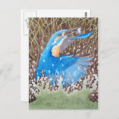 Kingfisher Briefkaart (Voorkant / Achterkant)