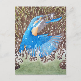 Kingfisher Briefkaart