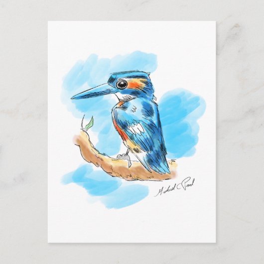Kingfisher Briefkaart (Voorkant)