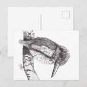 KINGFISHER BRIEFKAART (Voorkant / Achterkant)