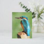 Kingfisher Briefkaart (Staand voorkant)