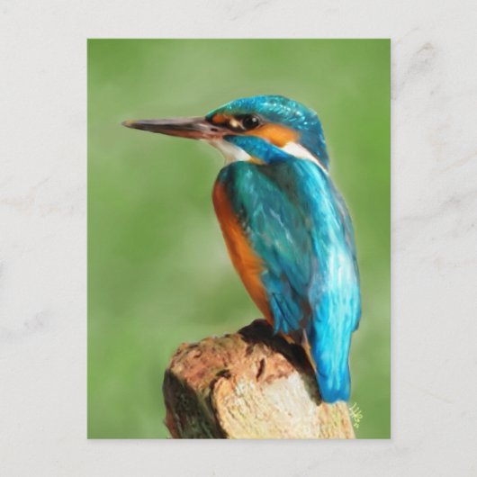 Kingfisher Briefkaart (Voorkant)