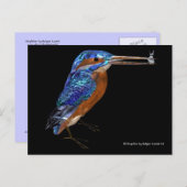 KINGFISHER BRIEFKAART (Voorkant / Achterkant)