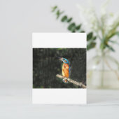 Kingfisher Briefkaart (Staand voorkant)