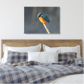Kingfisher Canvas Afdruk (Insitu (Slaapkamer))