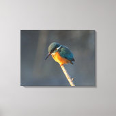 Kingfisher Canvas Afdruk (Voorkant)