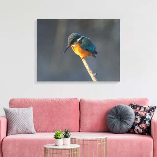 Kingfisher Canvas Afdruk (Insitu (Woonkamer))