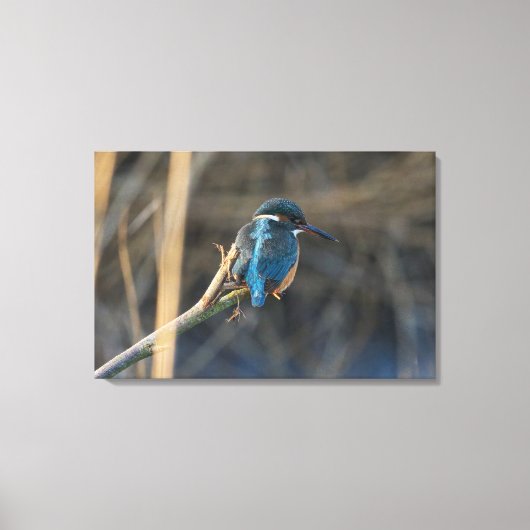 Kingfisher Canvas Afdruk (Voorkant)