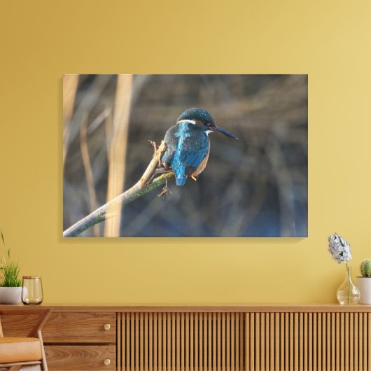 Kingfisher Canvas Afdruk (Insitu (Woonkamer))
