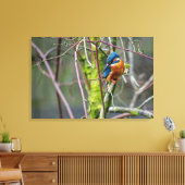 Kingfisher Canvas Afdruk (Insitu (Woonkamer))
