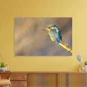 Kingfisher Canvas Afdruk (Insitu (Woonkamer))