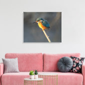 Kingfisher Canvas Afdruk (Insitu (Woonkamer))