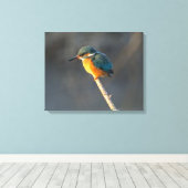 Kingfisher Canvas Afdruk (Insitu (Houten vloer))